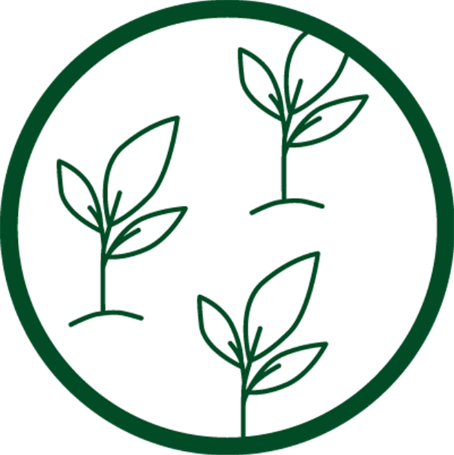 Three small plants in green circle