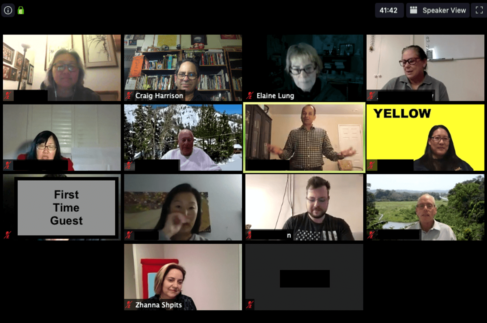 Toastmasters members meeting online on Zoom platform